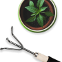 potted-plant-and-gardening-tool-1.png